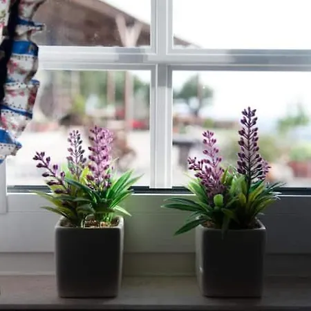 Casas Da Gralha Frühstückspension Turquel