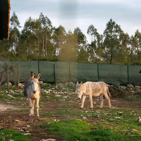 Frühstückspension Casas Da Gralha 3*
